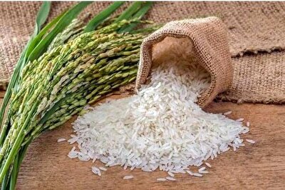شهرخبر - قیمت برنج پاکستانی امروز ۲۹ اردیبهشت ۱۴۰۴/ گران‌ترین و ارزان‌ترین برنج پاکستانی کدامند؟ + جدول